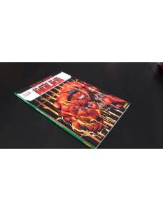 DE KIOSKO HULKS ROJOS LA CAIDA DE LOS HULKS PANINI MARVEL