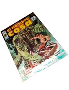 HOMBRE COSA 2 BUEN ESTADO VERTICE