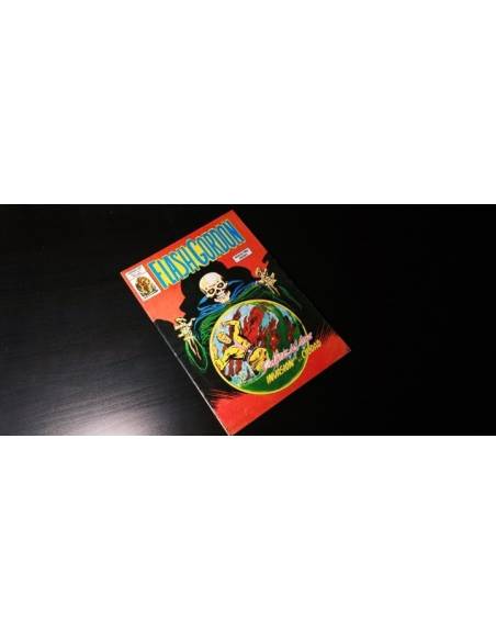 EXCELENTE ESTADO FLASH GORDON 9 VERTICE VOL II