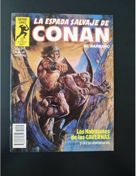 EXCELENTE ESTADO LA ESPADA SALVAJE DE CONAN 24 SERIE ORO PLANETA