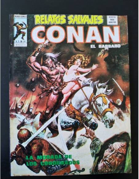 EXCELENTE ESTADO RELATOS SALVAJES 38 CONAN VOL I VERTICE