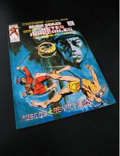 EXCELENTE ESTADO RELATOS SALVAJES 43 ARTES MARCIALES...