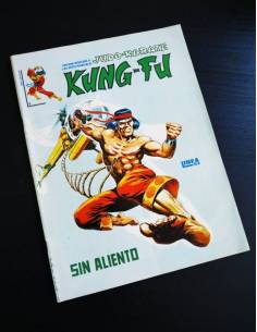 EXCELENTE ESTADO KUNG-FU 1 VERTICE SURCO LINEA 83