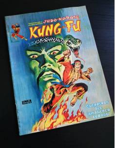 EXCELENTE ESTADO KUNG-FU 2 VERTICE SURCO LINEA 83