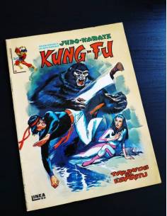 EXCELENTE ESTADO KUNG-FU 6 VERTICE SURCO LINEA 83