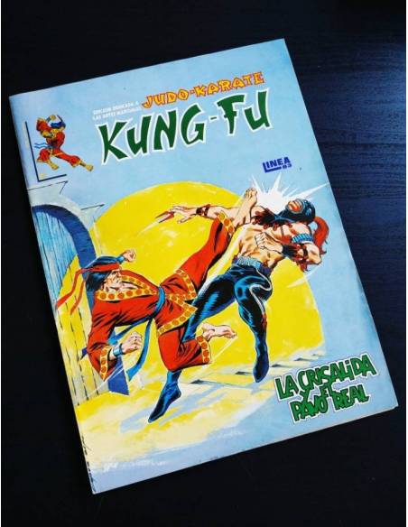 EXCELENTE ESTADO KUNG-FU 4 VERTICE SURCO LINEA 83