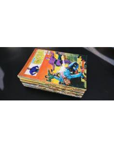 HOMBRE ENMASCARADO COMPLETA