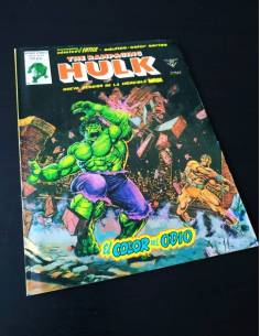 THE RAMPAGING HULK 13 VERTICE