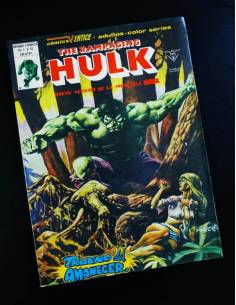 THE RAMPAGING HULK 10 VERTICE