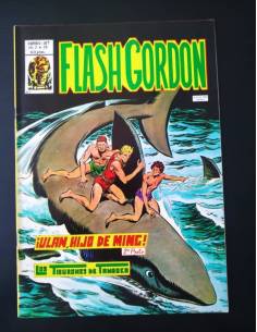 CASI EXCELENTE ESTADO FLASH GORDON 38 VOL II VERTICE