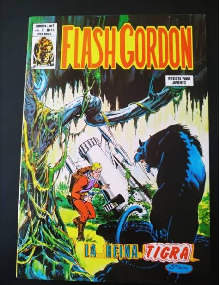 CASI EXCELENTE ESTADO FLASH GORDON 43 VERTICE