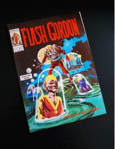 EXCELENTE ESTADO FLASH GORDON 24 VERTICE
