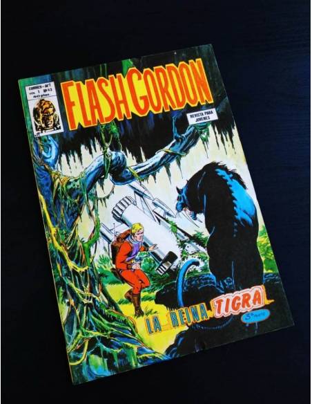 CASI EXCELENTE ESTADO FLASH GORDON 43 VERTICE