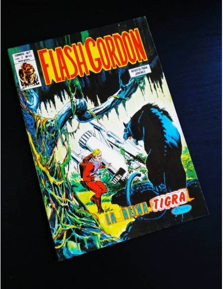 EXCELENTE ESTADO FLASH GORDON 43 VERTICE