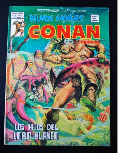 MUY BUEN ESTADO RELATOS SALVAJES CONAN 77 VERTICE