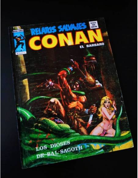 MUY BUEN ESTADO RELATOS SALVAJES 40 CONAN VERTICE