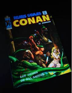 EXCELENTE ESTADO RELATOS SALVAJES CONAN 40 VERTICE VOL II
