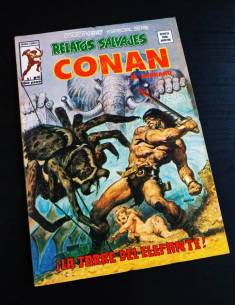EXCELENTE ESTADO RELATOS SALVAJES 60 VERTICE CONAN