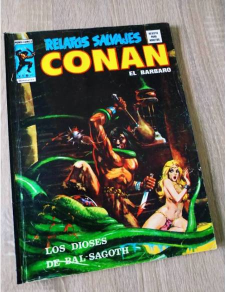 BUEN ESTADO RELATOS SALVAJES 40 CONAN