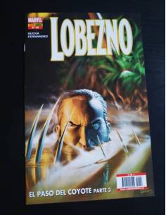 DE KIOSCO LOBEZNO 26 PANINI COMIC