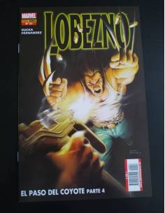 DE KIOSCO LOBEZNO 27 PANINI COMIC