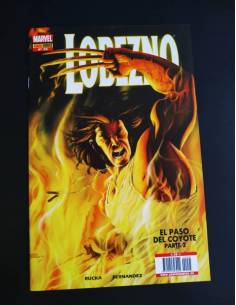 DE KIOSCO LOBEZNO 25 PANINI COMICS