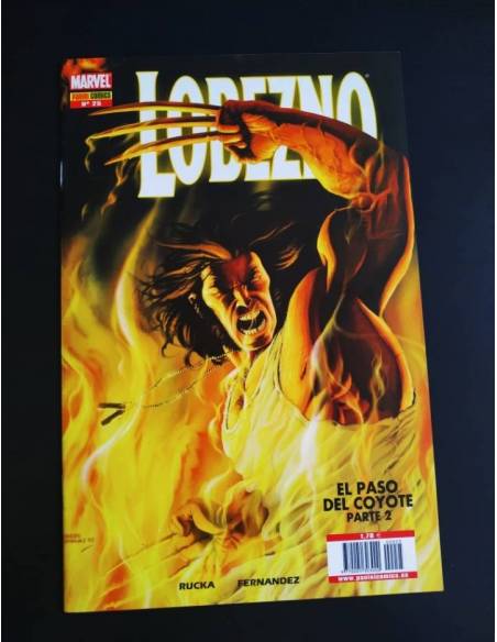DE KIOSCO LOBEZNO 25 PANINI COMICS
