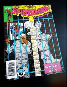 CASI EXCELENTE ESTADO SPIDERMAN 221 FORUM