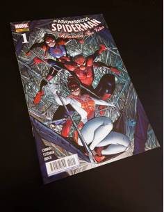 DE KIOSCO SPIDERMAN 1 PANINI