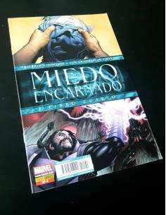 CASI EXCELENTE ESTADO MIEDO ENCARNADO 4 PANINI