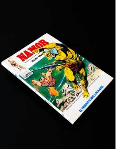 EXCELENTE ESTADO NAMOR 29 VERTICE TACO
