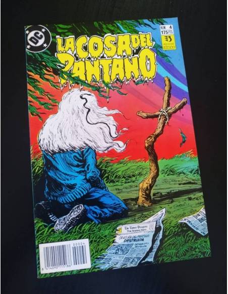 DE KIOSCO LA COSA DEL PANTANO 4 ZINCO