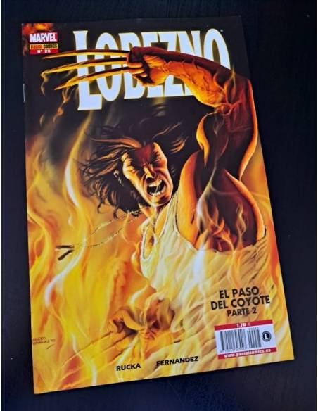 DE KIOSCO LOBEZNO 25 PANINI COMICS