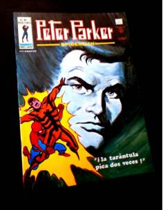 EXCELENTE ESTADO PETER PARKER 1 VERTICE