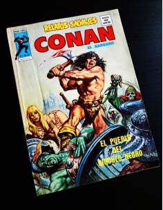 CASI EXCELENTE ESTADO RELATOS SALVAJES CONAN 43 VERTICE