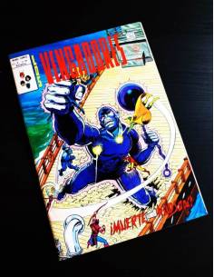 MUY BUEN ESTADO LOS VENGADORES 41 VOL II VERTICE