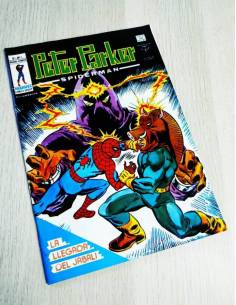CASI EXCELENTE ESTADO PETER PARKER 7 MUNDI COMICS VERTICE