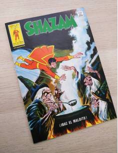 CASI EXCELENTE ESTADO SHAZAM 2 CÓMICS VERTICE