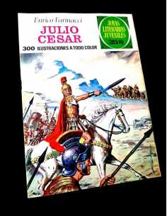 EXCELENTE ESTADO JOYAS LITERARIAS JUVENILES 47 COMICS...