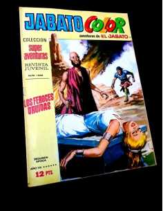 MUY BUEN ESTADO JABATO COLOR 31 COLECCION SUPER AVENTURAS...