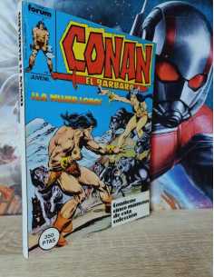 CASI EXCELENTE ESTADO CONAN 91 AL 95 RETAPADO CÓMICS...
