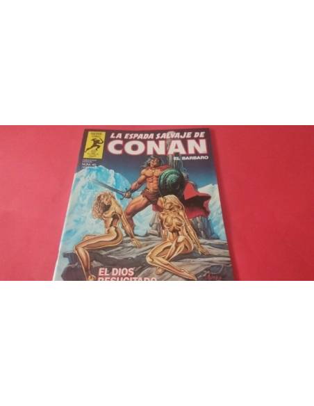 LA ESPADA SALVAJE DE CONAN EL BARBARO 45 EXCELENTE ESTADO FORUM