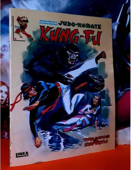 DE KIOSCO RELATOS SALVAJES 6 ARTES MARCIALES JUDO-KARATE KUNG-FU COMICS EDICIONES VERTICE