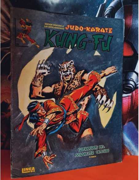 MUY BUEN ESTADO KUNG-FU 3 ARTES MARCIALES LINEA SURCO VERTICE