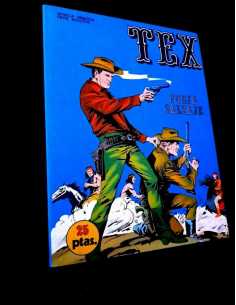 EXCELENTE ESTADO TEX 14 BURU LAN