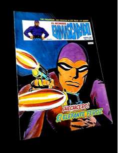 MUY BUEN ESTADO EL HOMBRE ENMASCARADO 24 VOL II VERTICE