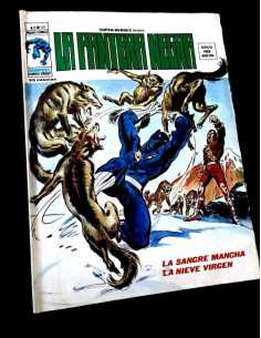 MUY BUEN ESTADO LA PANTERA NEGRA 39 VOL II VERTICE