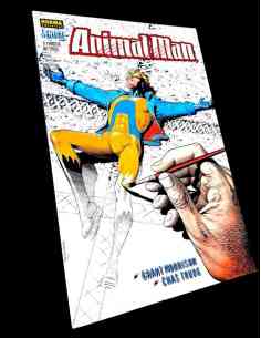 DE KIOSCO ANIMAL MAN 272 VERTIGO NORMA EDITORIAL