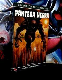 MUY BUEN ESTADO 100% MARVEL PANTERA NEGRA QUIEN ES...