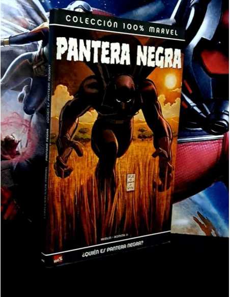 MUY BUEN ESTADO 100% MARVEL PANTERA NEGRA QUIEN ES PAMTERA NEGRA TOMO PANINI